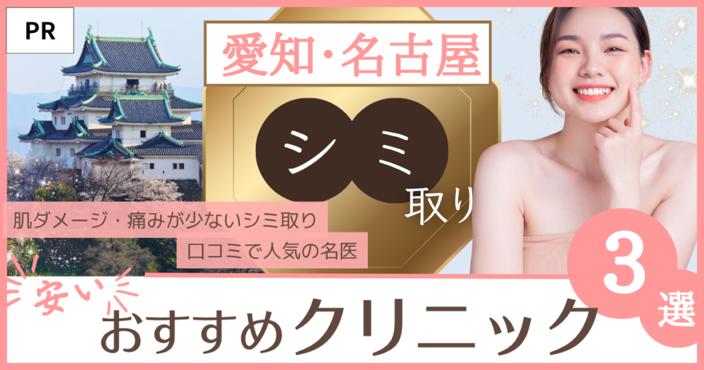 愛知・名古屋 シミ取り